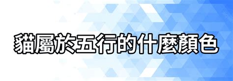 貓屬性|【貓屬五行】貓屬五行！釐清寵物五行與主人運勢的奧秘